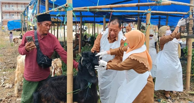 Kepala DKPP Sumenep, Chainur Rasyid, bersama petugas dan pengusaha saat memeriksa hewan kurban di simpang tiga Jl. Bumi Sumekar.