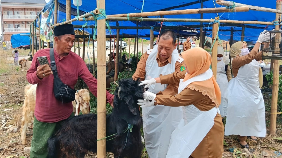Kepala DKPP Sumenep, Chainur Rasyid, bersama petugas dan pengusaha saat memeriksa hewan kurban di simpang tiga Jl. Bumi Sumekar.