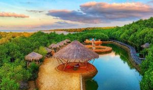Wisata Mangrove Kedatim Sumenep Wisata Mangrove Kedatim, Saronggi Sumenep, yang akan dijadikan sport lomba memancing se-Madura 2026.