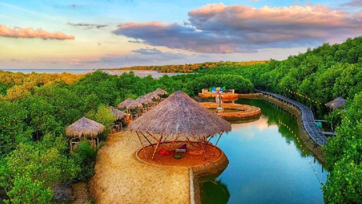 Wisata Mangrove Kedatim, Saronggi Sumenep, yang akan dijadikan sport lomba memancing se-Madura 2026.