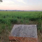 Lahan Milik Pemkab Sumenep yang akan dibangun Sekolah Rakyat di Desa Patean, Batuan, Sumenep.
