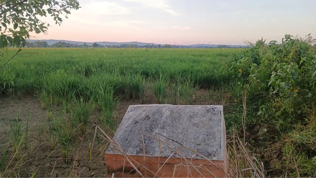 Lahan Milik Pemkab Sumenep yang akan dibangun Sekolah Rakyat di Desa Patean, Batuan, Sumenep.