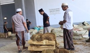 Tembakau Sumenep