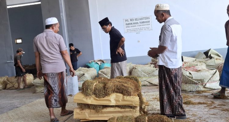 Tembakau Sumenep