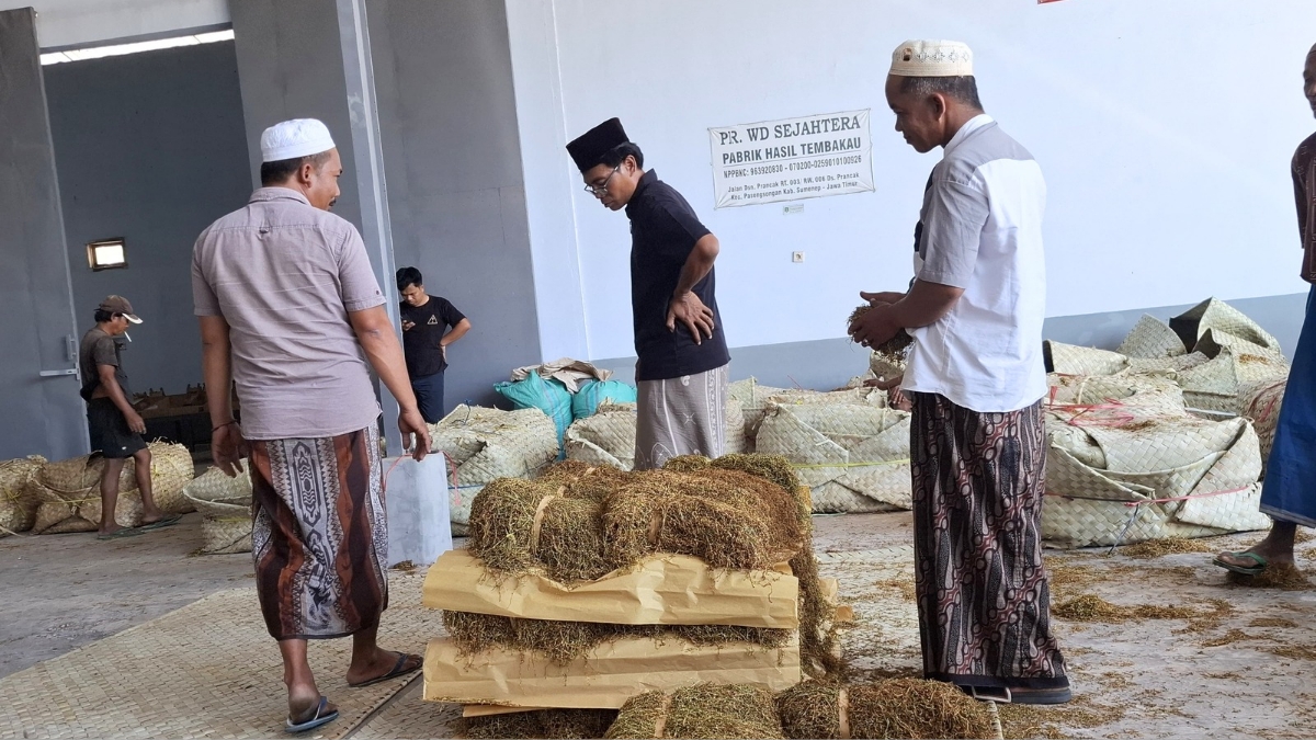 Tembakau Sumenep