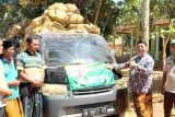 Tembakau Prancak DKPP Sumenep