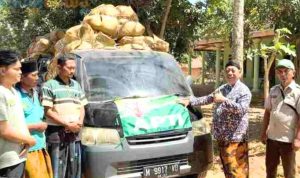 Tembakau Prancak DKPP Sumenep