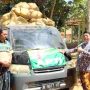 Tembakau Prancak DKPP Sumenep