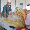 H. Mukmin Beli Tembakau Petani Sumenep Capai 700 Ton, Harga Tertinggi 72 Ribu