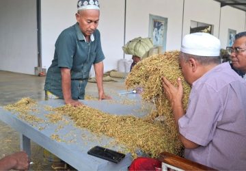 H. Mukmin Beli Tembakau Petani Sumenep Capai 700 Ton, Harga Tertinggi 72 Ribu