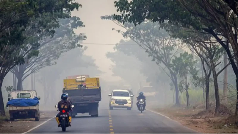 BMKG: Asap Karhutla Kalimantan Kecil Kemungkinan Capai Madura